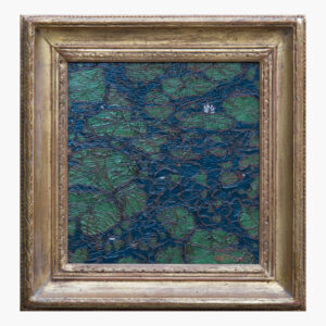 Water Lilies Along the Tarn