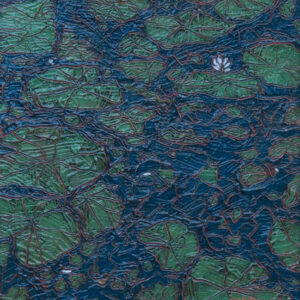 Water Lilies Along the Tarn - Image 3