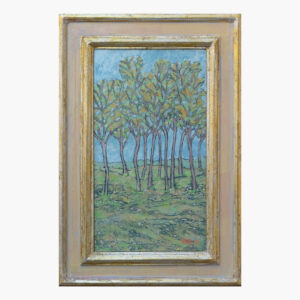 Poplar grove in Isola della Scala