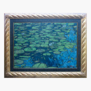 Water Lilies along the Tarn