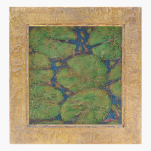 Water Lilies along the Tarn