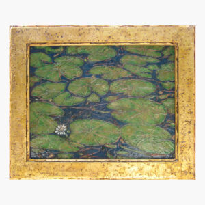 Water Lilies along the Tarn