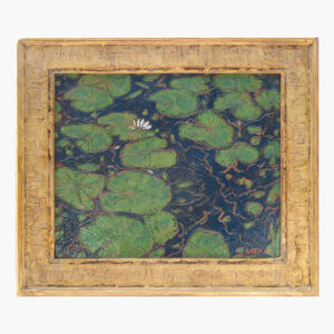 Water Lilies along the Tarn