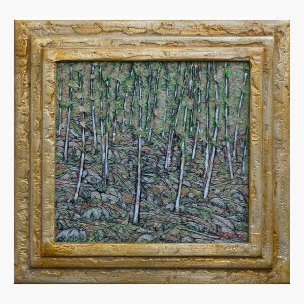 Forest on a rocky slope