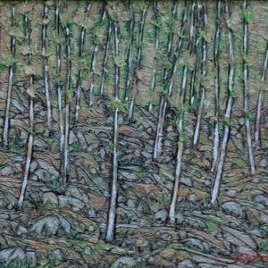 Forest on a rocky slope - Image 3