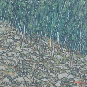 Canadian wood - Image 3