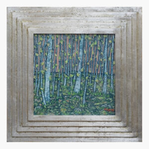 Birch wood at sunset